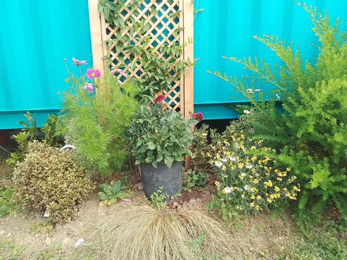 Delphinum Cabin Badsey Bagian luar foto