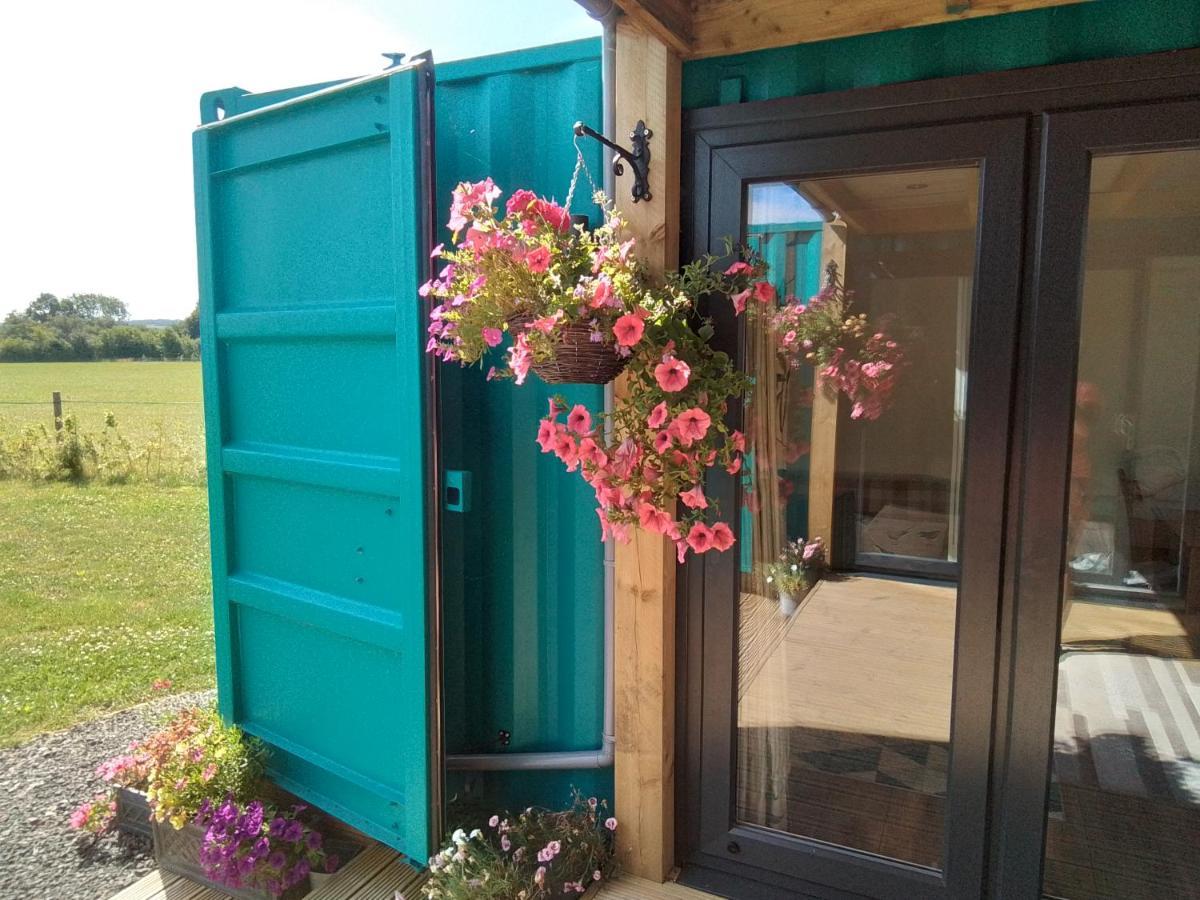 Delphinum Cabin Badsey Bagian luar foto
