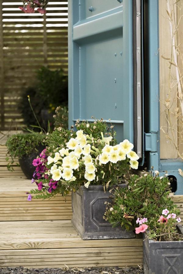 Delphinum Cabin Badsey Bagian luar foto