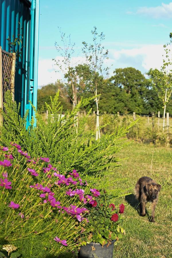 Delphinum Cabin Badsey Bagian luar foto