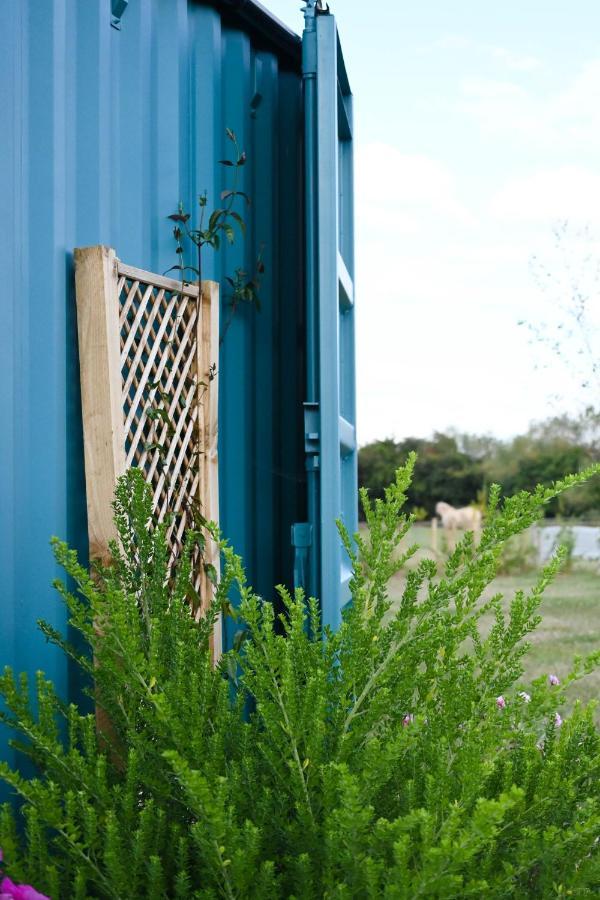 Delphinum Cabin Badsey Bagian luar foto