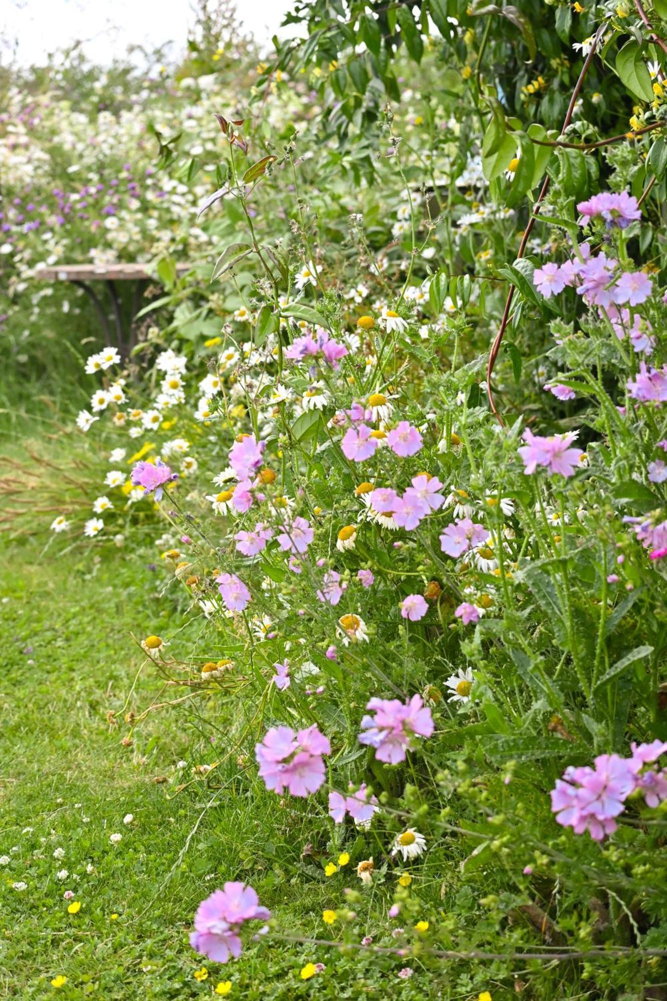 Delphinum Cabin Badsey Bagian luar foto