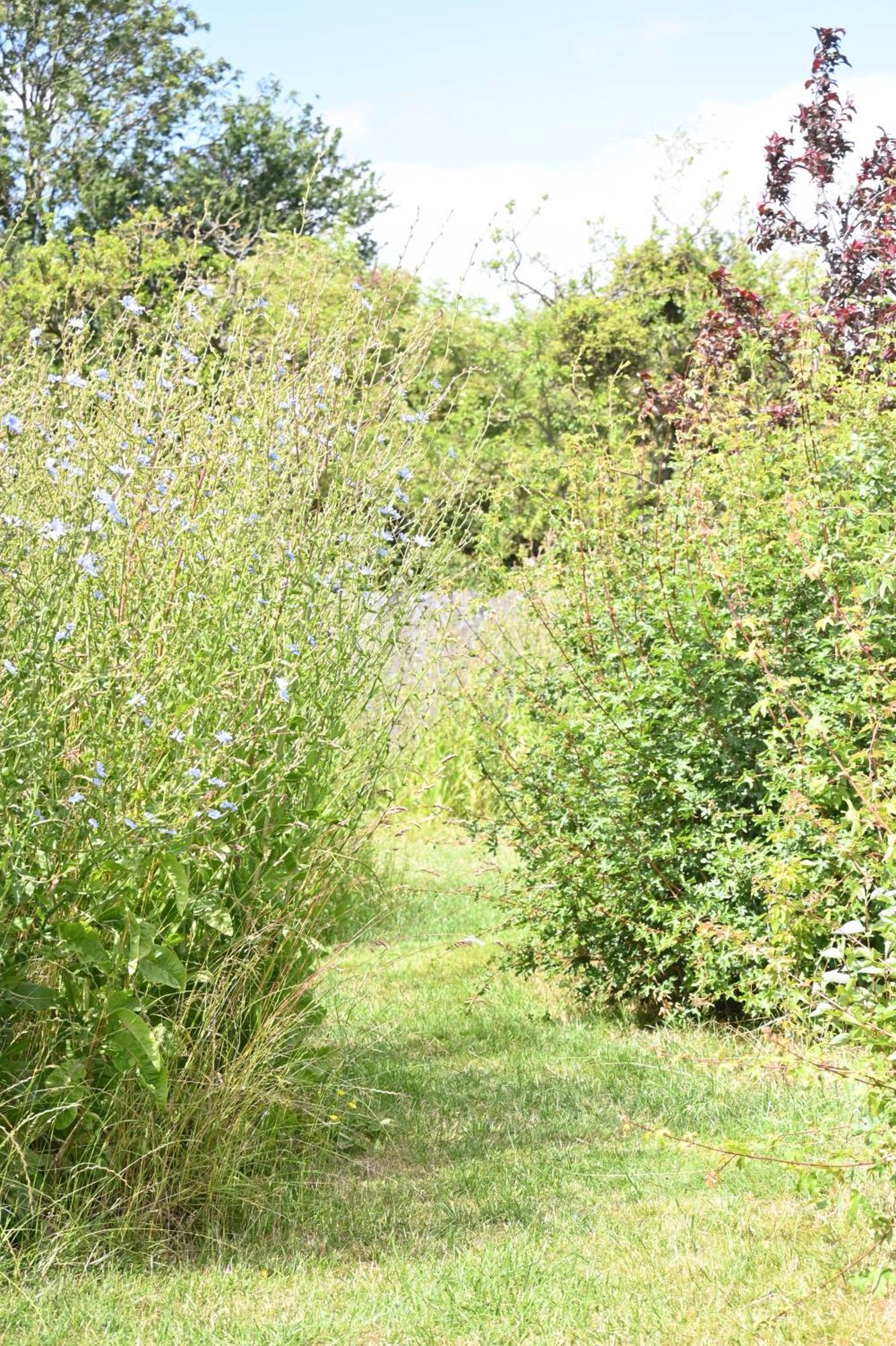 Delphinum Cabin Badsey Bagian luar foto
