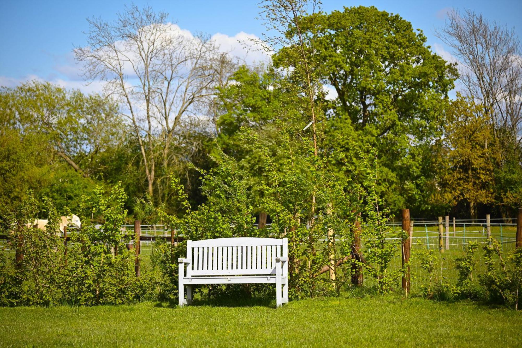 Delphinum Cabin Badsey Bagian luar foto