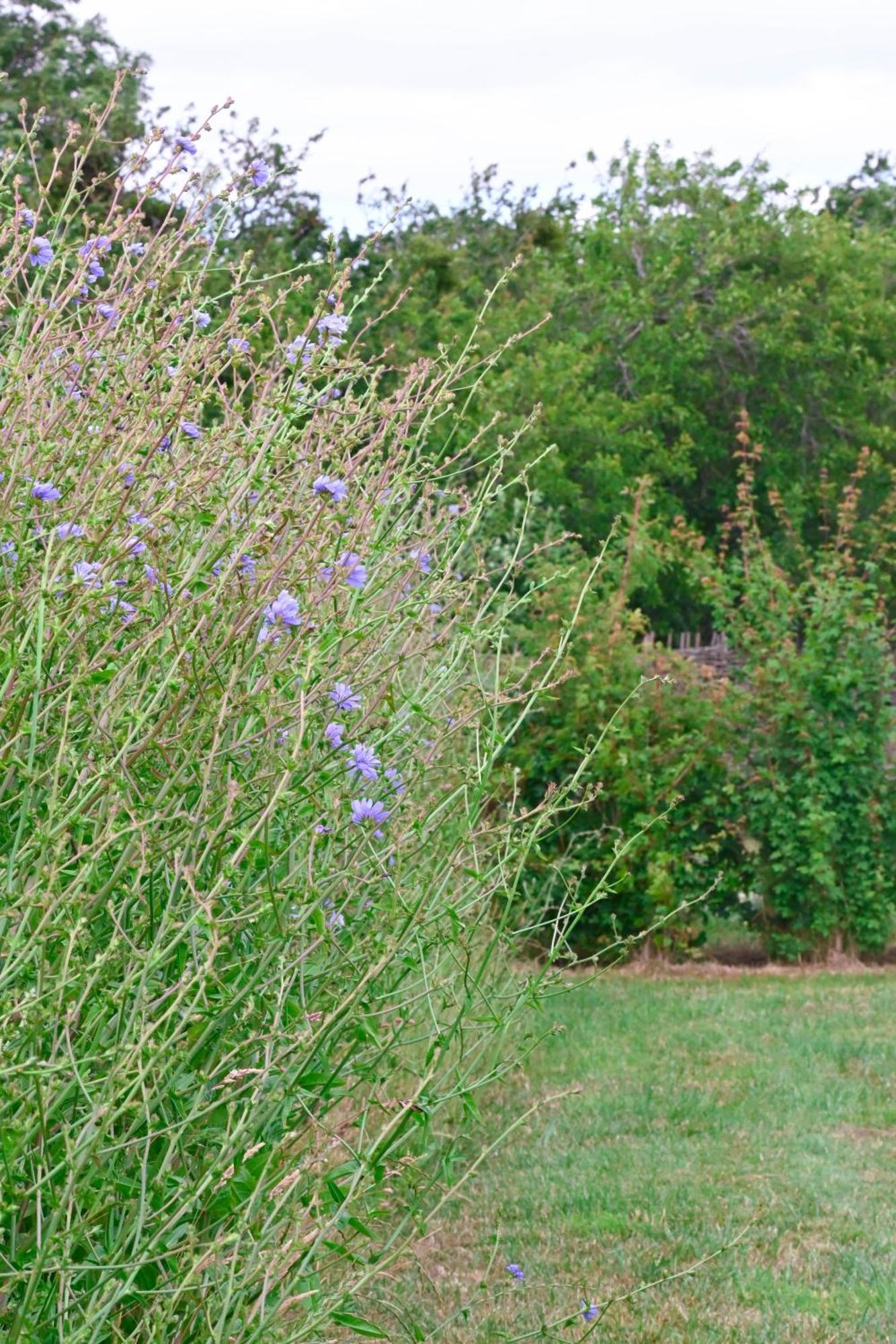 Delphinum Cabin Badsey Bagian luar foto